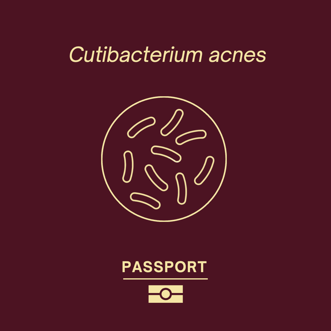 C. acnes's passport