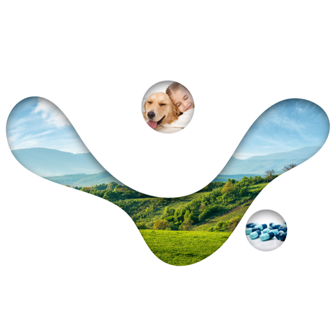 Trois zones d'images illustrant : des gélulles, une colline, et une jeune fille faisant un câlin à un chien.