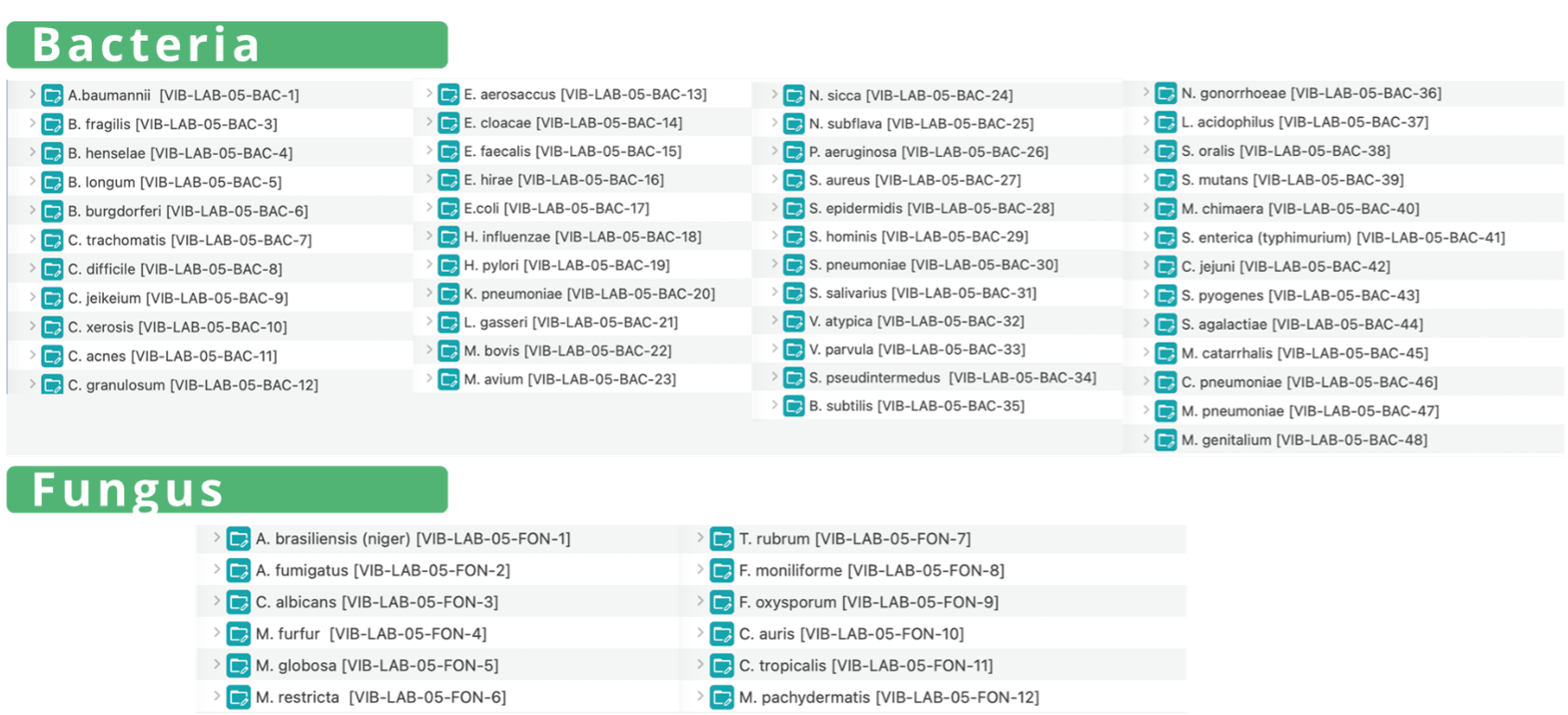 library of bacteria and fungal strain