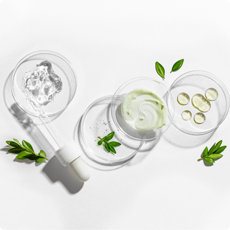 Des boîtes de Petri remplies de crème et de substances.