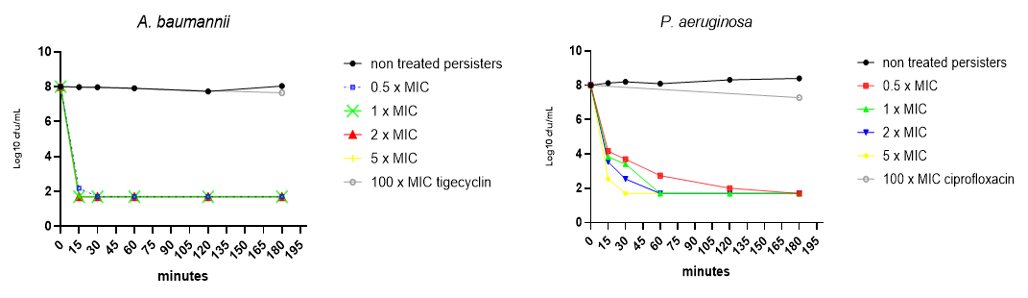 Figure. Killing kinetics of test compound against persister A. baumannii and P. aeruginosa cells. LLOD=50cfu = 1.69 log10