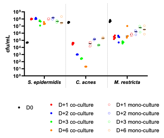  Outcomes of Model of in vitro human scalp microbiota
